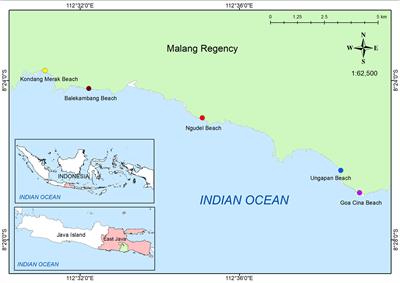 Spatial distribution and composition of marine litter on sandy beaches along the Indian Ocean coastline in the south Java region, Indonesia